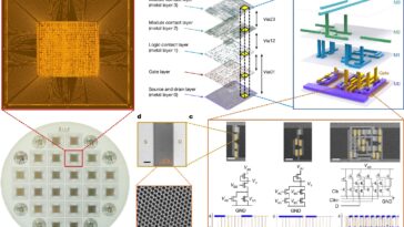 Un processeur RISC-V 32 bits fabriqué à l'aide d'un disulfure de molybdène au lieu du silicium