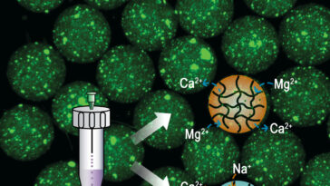 Une façon plus simple de faire des microgels pour la libération de médicament programmable