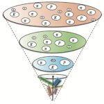 Une nouvelle approche de la sonde hadronisation via l'enchevêtrement quantique