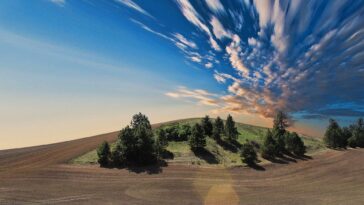 Une nouvelle étude met en évidence l'aridification globale, la menace pour l'agriculture