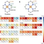 Une nouvelle interprétation des capacités de l'énergie de liaison à l'hydrogène pour une utilisation dans les catalyseurs à atomes uniques Une nouvelle interprétation des capacités de l'énergie de liaison à l'hydrogène pour une utilisation dans les catalyseurs à atomes uniques