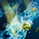 Une nouvelle méthode basée sur la dissipation pour sonder les corrélations quantiques