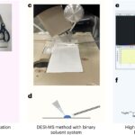 Une nouvelle technique de spectrométrie de masse augmente la vitesse de dépistage des enzymes jusqu'à 1 000 fois