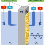 Une nouvelle technique électrochimique mesure le taux de dégradation des revêtements en polymère sur le fer