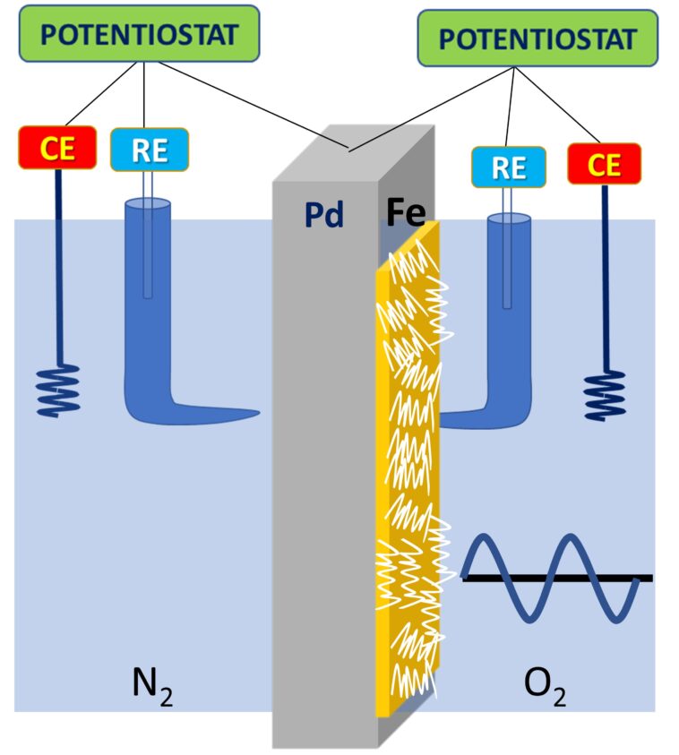 Une nouvelle technique électrochimique mesure le taux de dégradation des revêtements en polymère sur le fer Une nouvelle technique électrochimique mesure le taux de dégradation des revêtements en polymère sur le fer