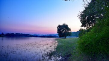 Une réglementation plus importante nécessaire pour protéger les environnements d'eau douce contre les médicaments pharmaceutiques, explique le chercheur