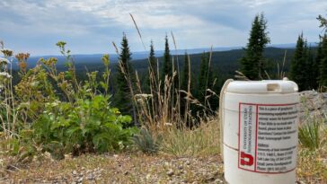 Utilisation de vibrations pour voir dans le réservoir de magma de Yellowstone