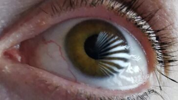 `` Vision surhumaine '': une puissante technologie d'imagerie 3D ouvre la voie pour le suivi des yeux de nouvelle génération