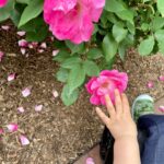 Voici comment créer une société plus alphabétisée par la nature