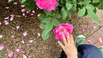 Voici comment créer une société plus alphabétisée par la nature