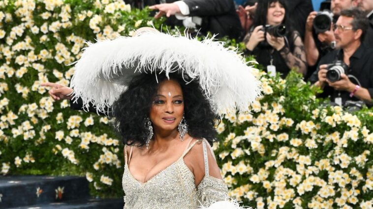 Au Met Gala 2025, Diana Ross revient sur le tapis rouge avec un train de 18 pieds