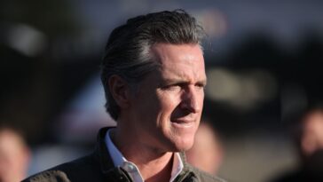 Gavin Newsom se mêle aux rock stars du festival de musique BottleRock