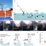 'Manu Jumping': la physique derrière des éclaboussures de gigantesques dans la piscine 'Manu Jumping': la physique derrière des éclaboussures de gigantesques dans la piscine