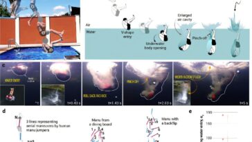 'Manu Jumping': la physique derrière des éclaboussures de gigantesques dans la piscine