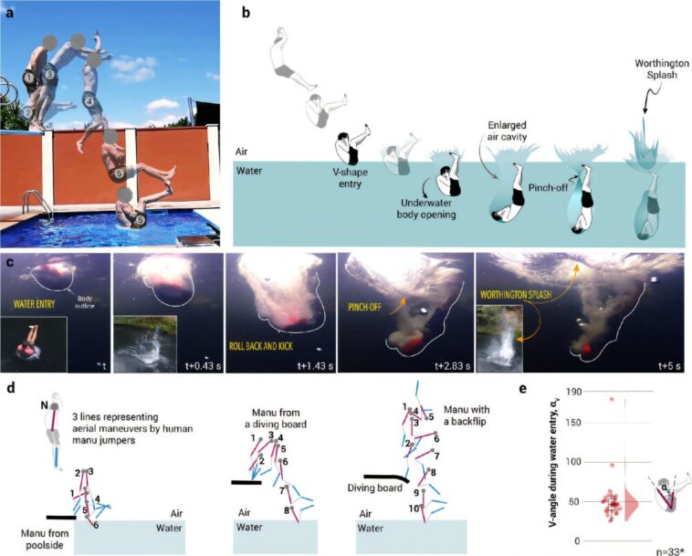 'Manu Jumping': la physique derrière des éclaboussures de gigantesques dans la piscine