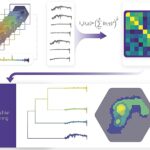 Algorithme alimenté par AI Capivara démasque les structures cachées dans les galaxies en analysant leurs empreintes digitales spectrales