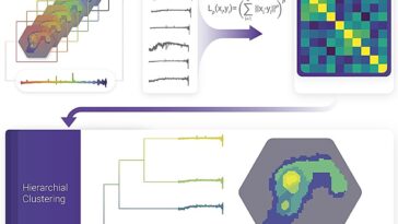 Algorithme alimenté par AI Capivara démasque les structures cachées dans les galaxies en analysant leurs empreintes digitales spectrales