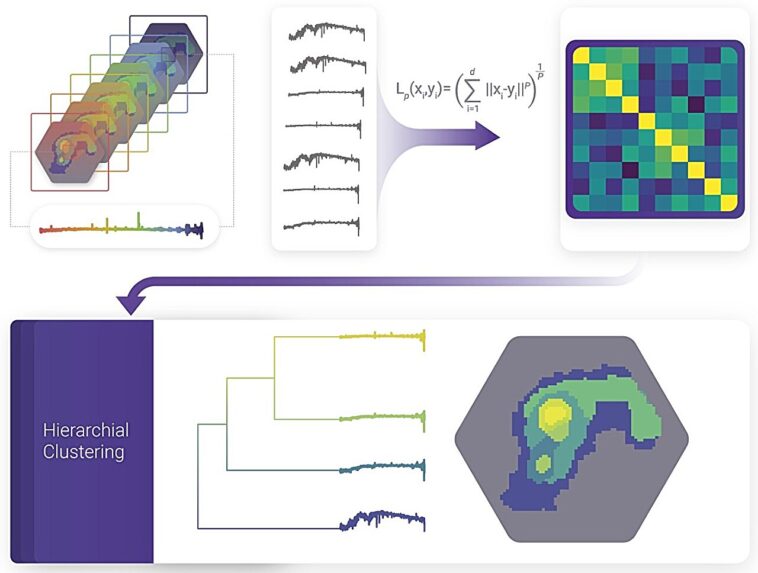 Algorithme alimenté par AI Capivara démasque les structures cachées dans les galaxies en analysant leurs empreintes digitales spectrales Algorithme alimenté par AI Capivara démasque les structures cachées dans les galaxies en analysant leurs empreintes digitales spectrales
