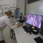 Australian Seaheed Farm aborde les rots pour aider le climat