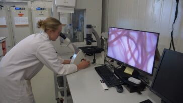 Australian Seaheed Farm aborde les rots pour aider le climat