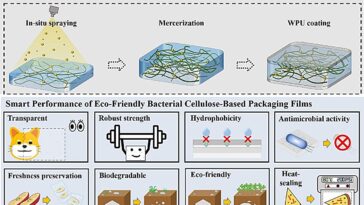 Avancer vers des matériaux à base de cellulose pour des emballages alimentaires efficaces et durables