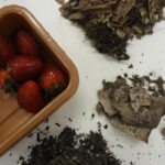 Baies juste le début du plastique biodégradable