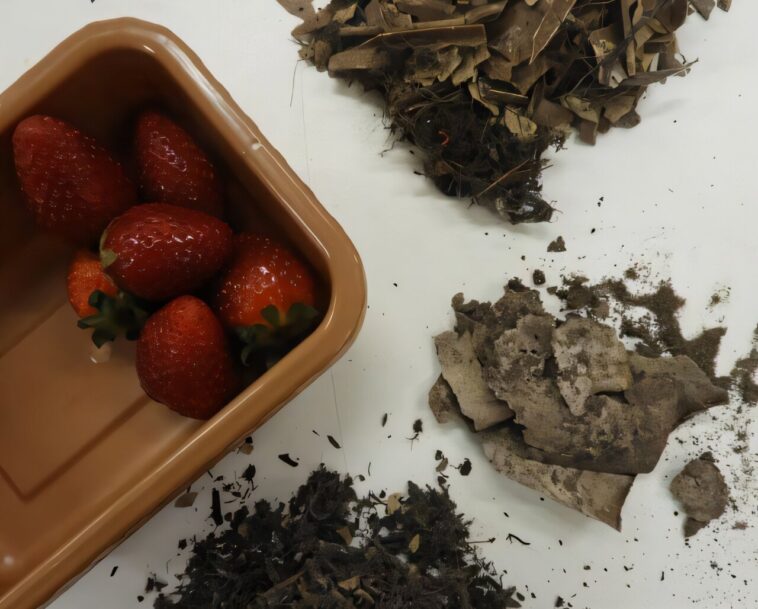 Baies juste le début du plastique biodégradable