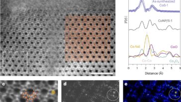 Catalyst Catalyst Rivals Platinum dans une réaction industrielle clé