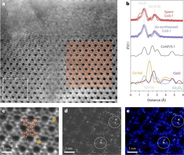 Catalyst Catalyst Rivals Platinum dans une réaction industrielle clé