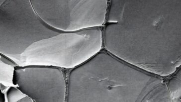 Chimie du début de la Terre: les blocs de construction de l'ARN triplet et les cycles de gel-dégel permettent l'auto-réplication de l'eau