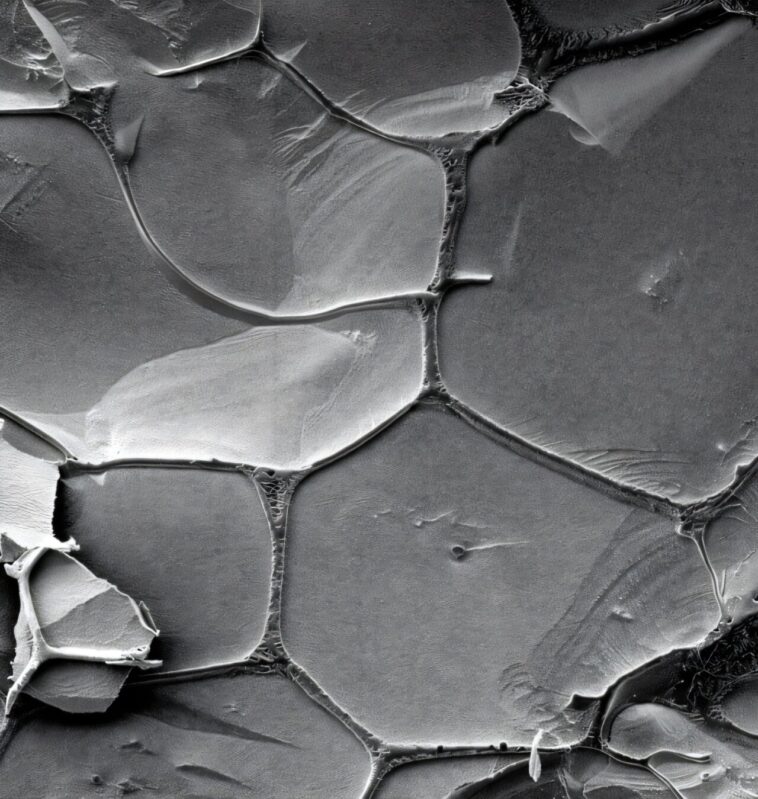 Chimie du début de la Terre: les blocs de construction de l'ARN triplet et les cycles de gel-dégel permettent l'auto-réplication de l'eau Chimie du début de la Terre: les blocs de construction de l'ARN triplet et les cycles de gel-dégel permettent l'auto-réplication de l'eau