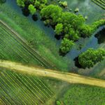Comment 13 millions d'agriculteurs se battront-ils contre le niveau de la mer augmenter?