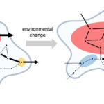 Couplage cinétique: structure et dynamique des réseaux biochimiques liés à un nouveau concept