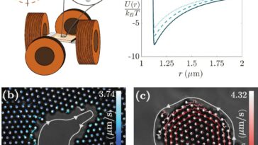 Courants invisibles au bord: l'étude montre comment les particules magnétiques révèlent une règle cachée de la nature