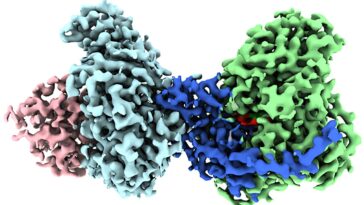 Cryo-em Geleses the Funk: les scientifiques visualisent une protéine piquante