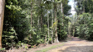 Des produits hautement oxydés d'isoprène - les voies de chimie atmosphériques pourraient conduire à la formation mondiale d'aérosols