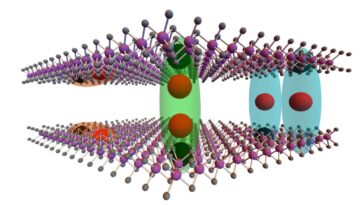 Deux états d'exciton distincts observés dans le désélénide de molybdène bicouche empilé 2H