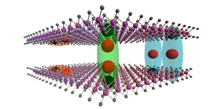 Deux états d'exciton distincts observés dans le désélénide de molybdène bicouche empilé 2H