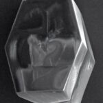 Effets quantiques dans les protéines: comment les petites particules coordonnent le transfert d'énergie à l'intérieur des cellules