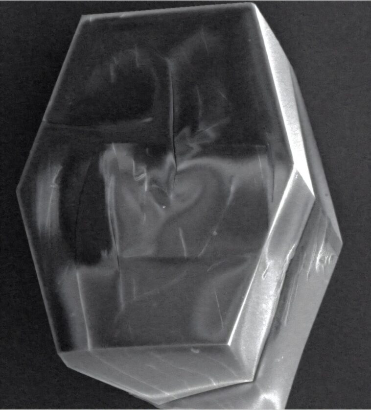 Effets quantiques dans les protéines: comment les petites particules coordonnent le transfert d'énergie à l'intérieur des cellules Effets quantiques dans les protéines: comment les petites particules coordonnent le transfert d'énergie à l'intérieur des cellules