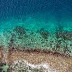 Fool's Gold: un stabilisateur climatique caché