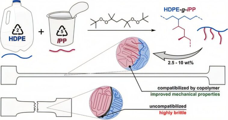 Heureux ensemble: le peroxyde lie les polymères incompatibles pour le recyclage Heureux ensemble: le peroxyde lie les polymères incompatibles pour le recyclage