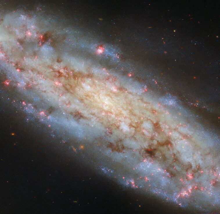 Hubble Spies incliné Spiral Galaxy NGC 3511