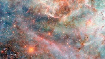 Hubble capture le grand nuage Magellanic