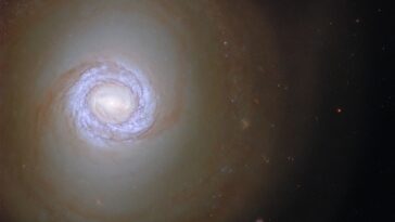 Hubble identifie les jeunes étoiles en galaxie en spirale