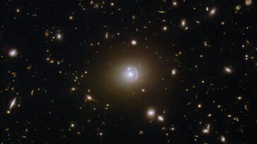 Hubble images galaxies proches et loin