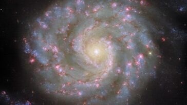 Hubble se retrouve face à face avec les bras de Spiral