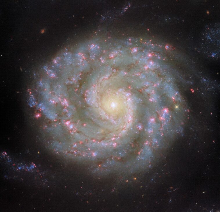 Hubble se retrouve face à face avec les bras de Spiral Hubble se retrouve face à face avec les bras de Spiral