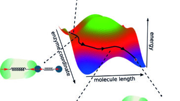 Instructions d'assemblage pour les enzymes: les règles universelles peuvent aider à concevoir une enzyme optimale à partir de zéro
