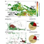 Janvier 2025 Les incendies de forêt de Los Angeles servent de réveil à mesure que les événements «une fois dans une génération» deviennent fréquents